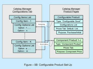 Wiki Fig9B Configurable Product Set-Up.jpg