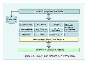 Wiki Fig5 UsingCashManagement.jpg